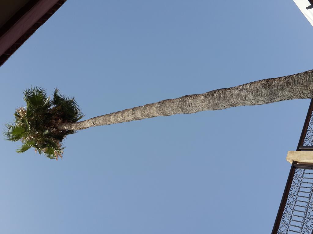 Hotel Cecil Marrakesh Exteriör bild